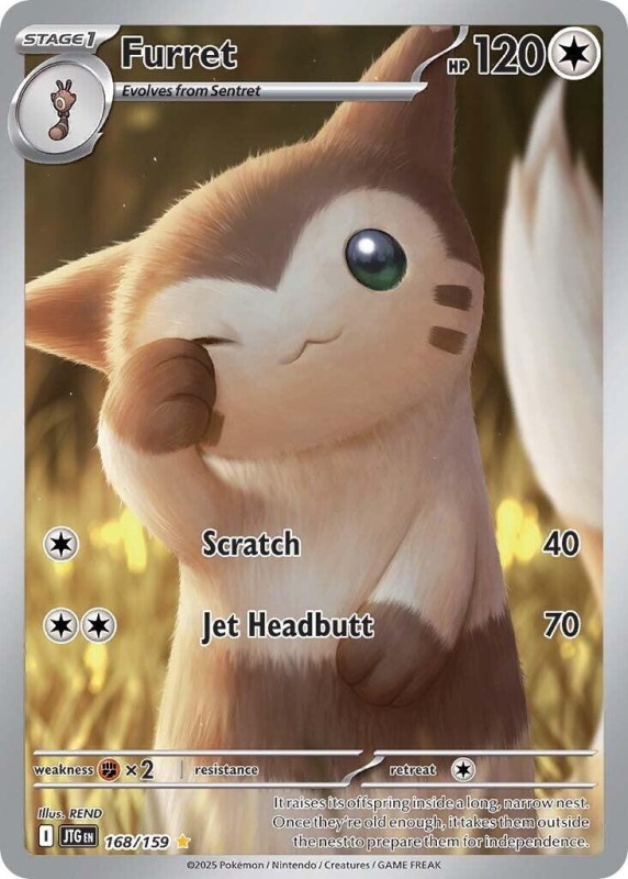 168_159 furret eng.jpg