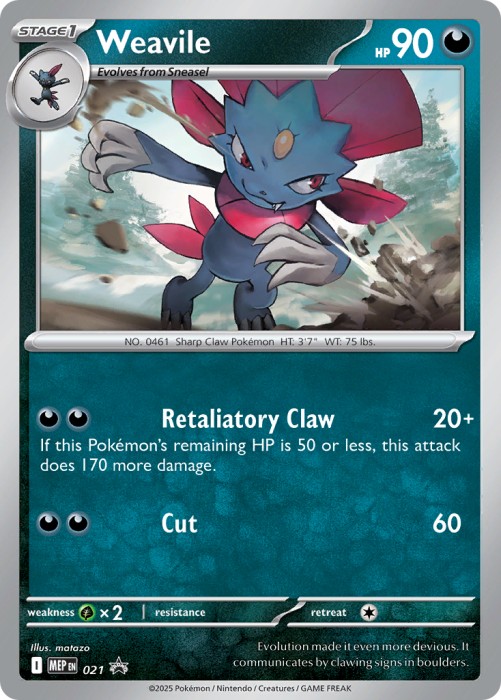 mep021.jpg