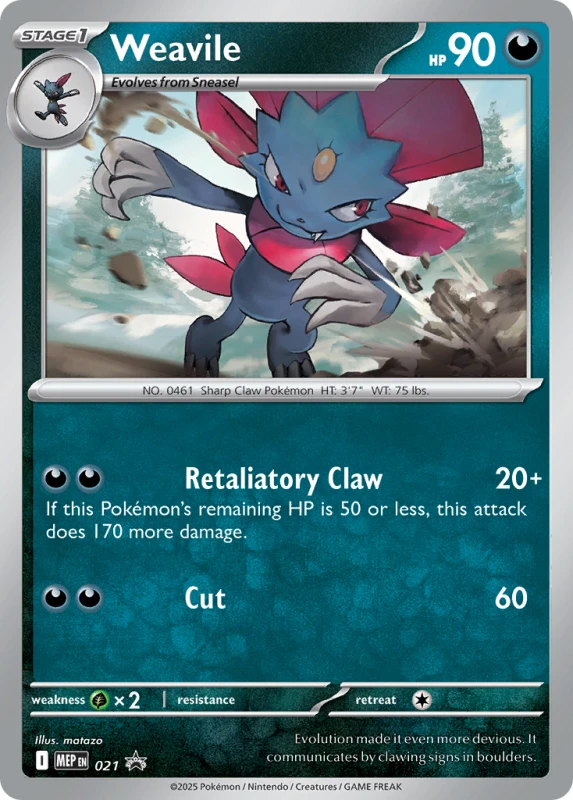mep021.jpg