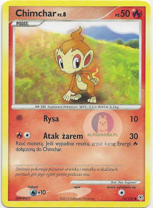 chimchar pl.png