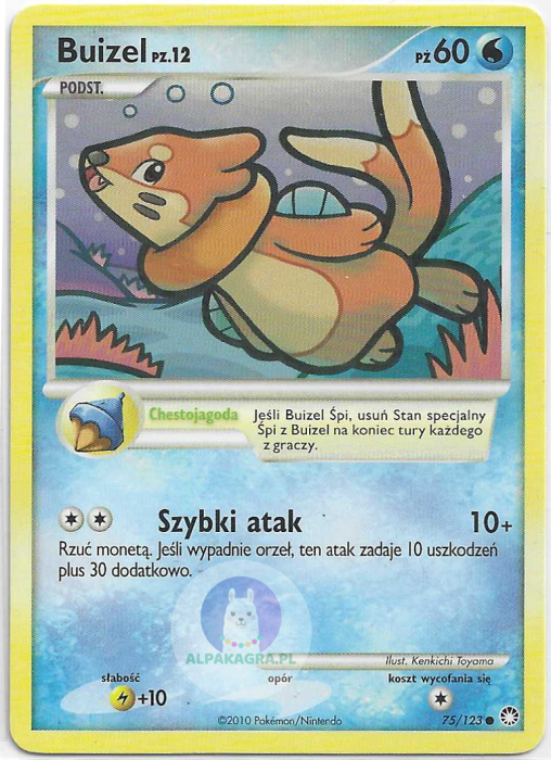 buizel pl.png