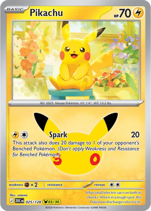 pikachu 025.jpg