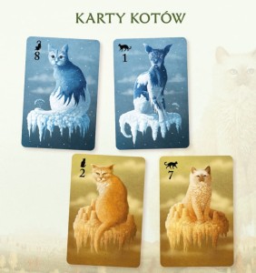 koty2.jpg