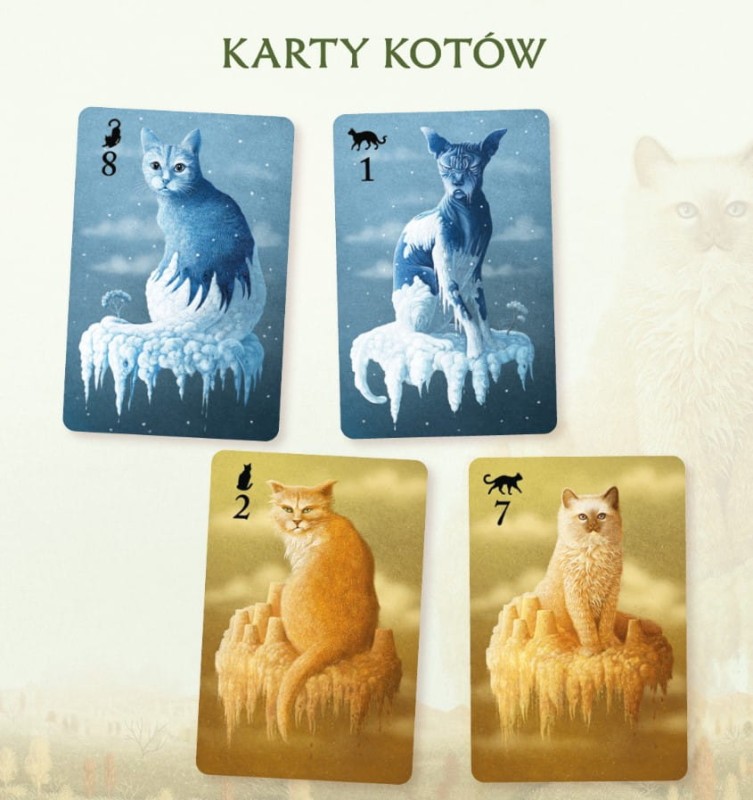 koty2.jpg